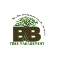 B & B Tree Management LLC 🌳 logo, B & B Tree Management LLC 🌳 contact details