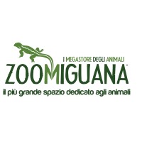 Zoomiguana logo, Zoomiguana contact details