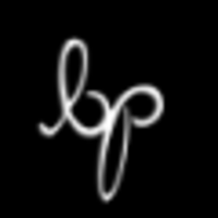 Brunson Photography logo, Brunson Photography contact details