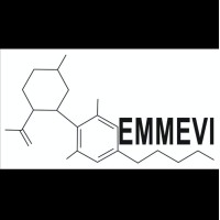 EMMEVI logo, EMMEVI contact details