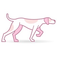 Pink Pointer logo, Pink Pointer contact details