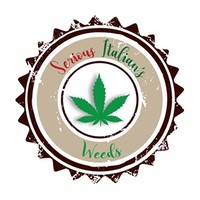 Serious Italian's Weeds logo, Serious Italian's Weeds contact details