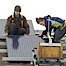 Central New York Solar logo, Central New York Solar contact details