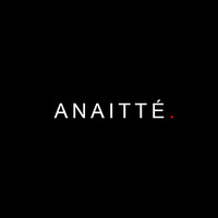 ANAITTE, Inc logo, ANAITTE, Inc contact details