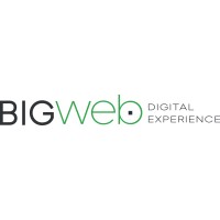 Big Web Srl logo, Big Web Srl contact details