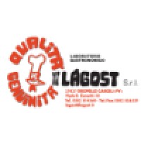 Lagost Srl logo, Lagost Srl contact details