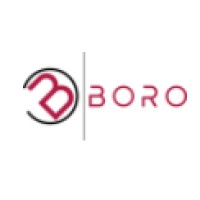 BoRo LLC logo, BoRo LLC contact details