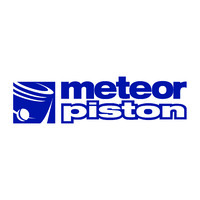 METEOR PISTON S.R.L. logo, METEOR PISTON S.R.L. contact details