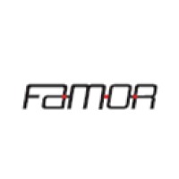 FAMOR ENGINEERING S.r.l. logo, FAMOR ENGINEERING S.r.l. contact details