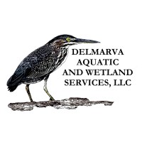 Delmarva Aquatic and Wetland Services, LLC logo, Delmarva Aquatic and Wetland Services, LLC contact details