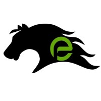 Mustang Extreme Environmental Services logo, Mustang Extreme Environmental Services contact details