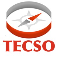 TECSO - TEcnologia e Consulenza per Sistemi Organizzativi logo, TECSO - TEcnologia e Consulenza per Sistemi Organizzativi contact details