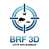 BRF 3D logo, BRF 3D contact details