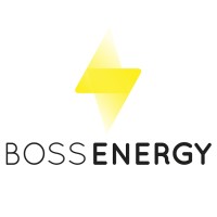 Boss Energy LLC logo, Boss Energy LLC contact details