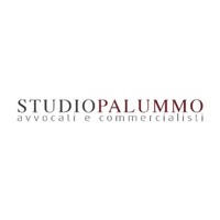 Studio Palummo Avvocati e Commercialisti logo, Studio Palummo Avvocati e Commercialisti contact details