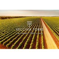 Cantina Vecchia Torre logo, Cantina Vecchia Torre contact details