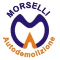 Morselli srl logo, Morselli srl contact details