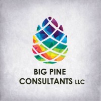 Big Pine Consultants LLC logo, Big Pine Consultants LLC contact details