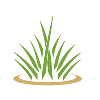 Le Palms Landscaping Service logo, Le Palms Landscaping Service contact details