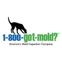 1-800-GOT-MOLD? logo, 1-800-GOT-MOLD? contact details