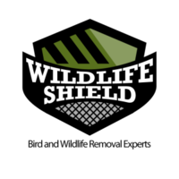 Wildlife Shield logo, Wildlife Shield contact details